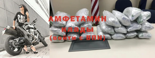 индика Арсеньев