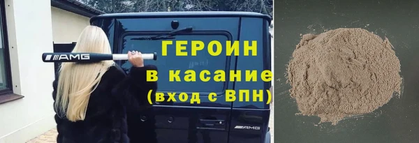 индика Арсеньев