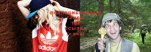сатива Армянск