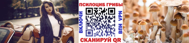 хочу   Майкоп  OMG онион  Галлюциногенные грибы Psilocybe 