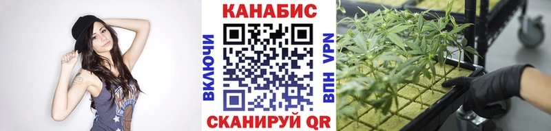 дарнет шоп  сайты даркнета телеграм  Канабис THC 21%  Майкоп 